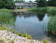 large pond cleaning maintenance service rochester syracuse ny