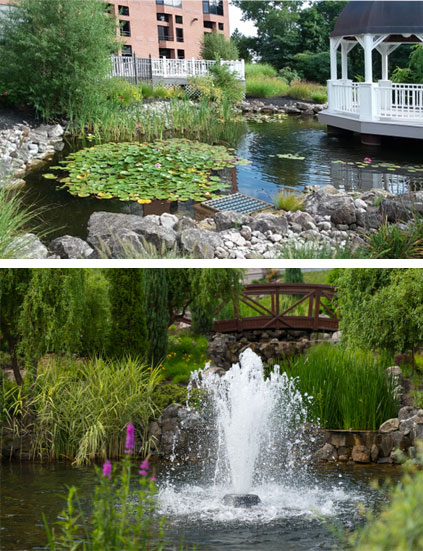 pond cleaning maintenance fountains rochester penfield batavia ny