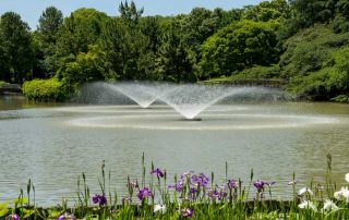 Pond Maintenace