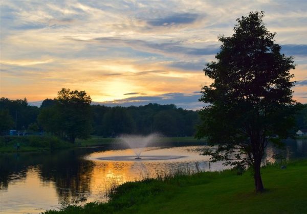 healthy pond maintenance rochester ny beneficial bacteria