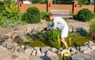 Professional Pond Cleaning Service