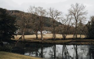 spring pond maintenance rochester western ny