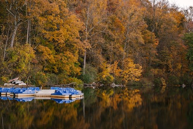 Fall pond maintenance winterizing Rochester New York