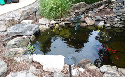 koi pond design installation rochester buffalo new york
