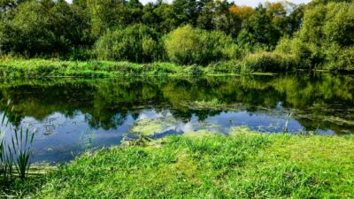 Retention Pond Maintenance repair management rochester syracuse binghamton bath buffalo ny