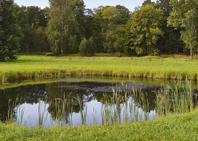 pond maintenance water oxygen levels - Pond Water Oxygen Levels