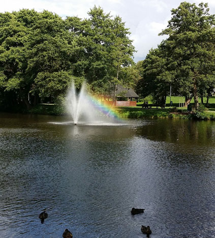 large pond maintenance management rochester syracuse ny
