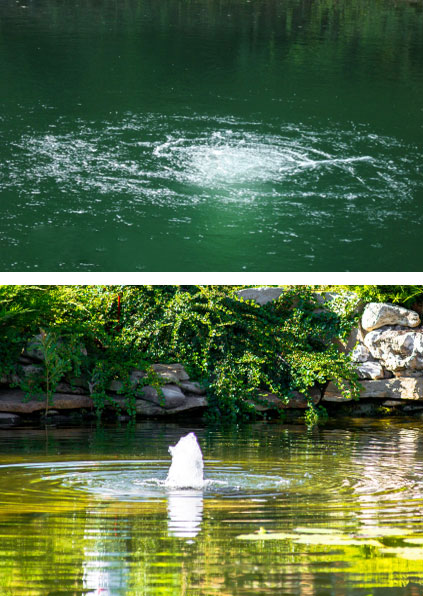 pond aerator equipment installation maintenance rochester ny