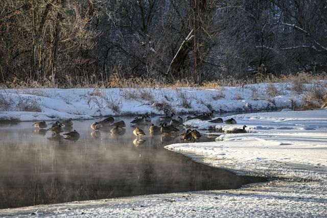 Fall Pond Maintenance Checklist for Upstate New York Pond Owners