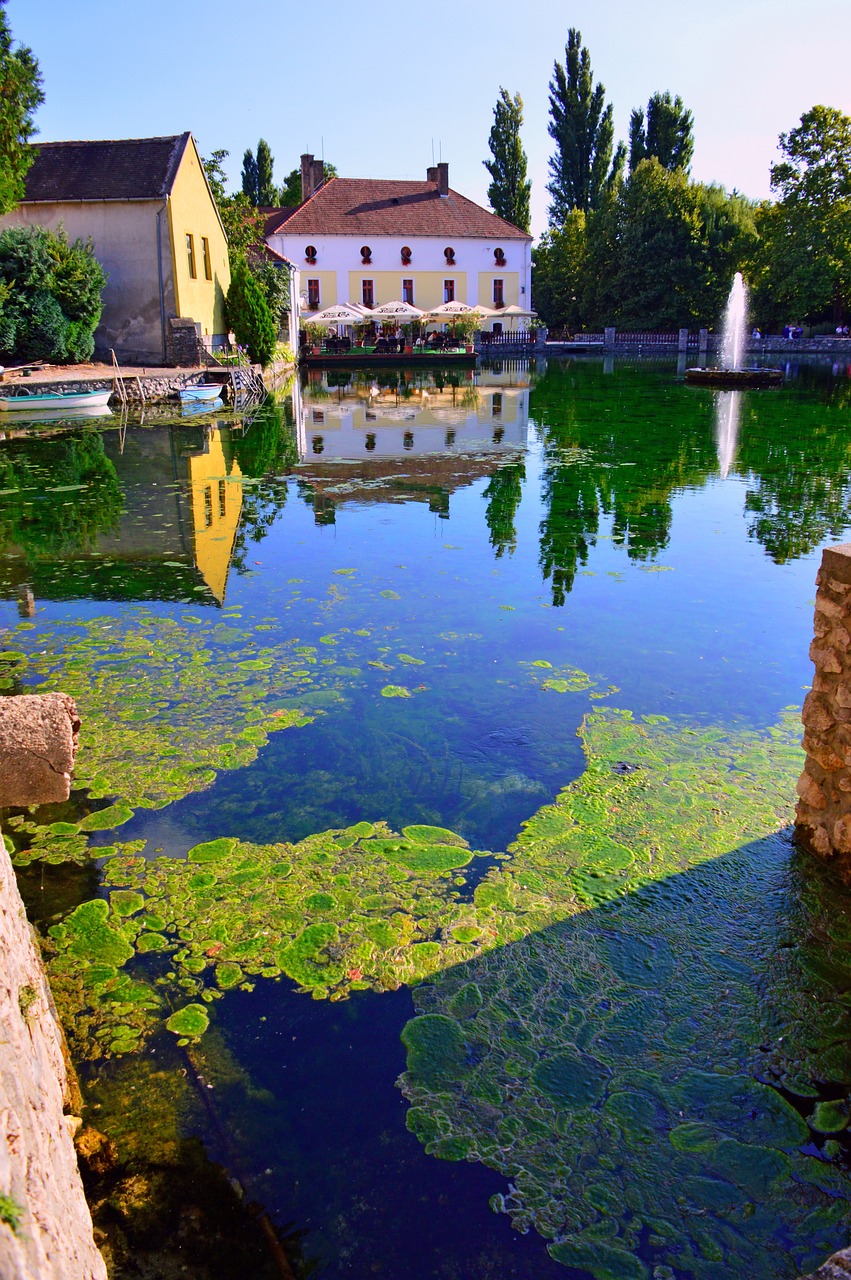 Natural Pond Cleaner Products vs Chemicals | Rochester NY