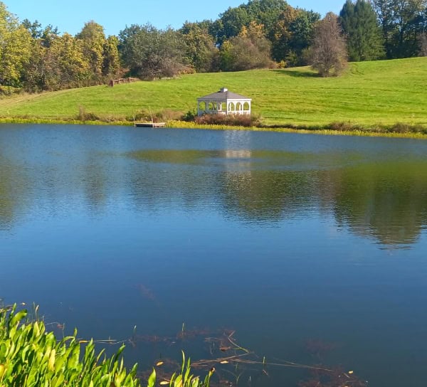 pond cleaning spring fall maintenance rochester pittsford canandaigua ny