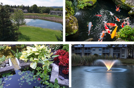 pond contractor rochester buffalo syracuse ny