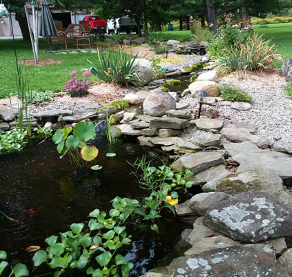 water garden feature maintenance repair rochester canandaigua ny