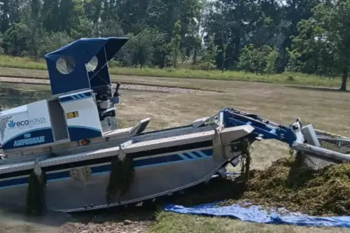 pond water feature maintenance repair rochester buffalo syracuse ny