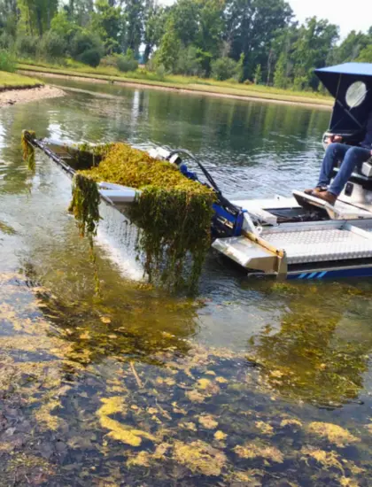water garden feature maintenance repair rochester canandaigua ny